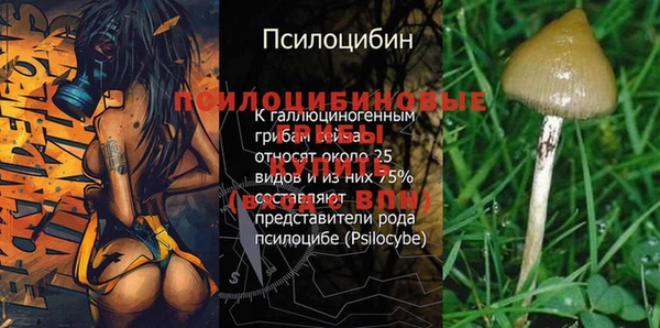 дурь Абинск