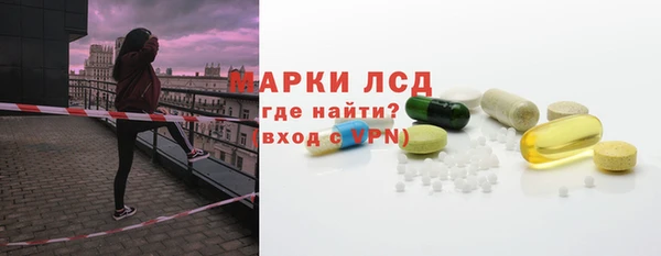 индика Абаза