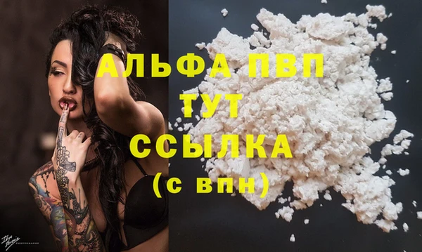 индика Абаза