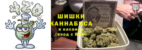 индика Абаза
